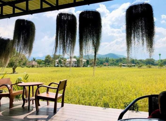 Oon Valley Farm Stay San Kamphaeng Екстериор снимка