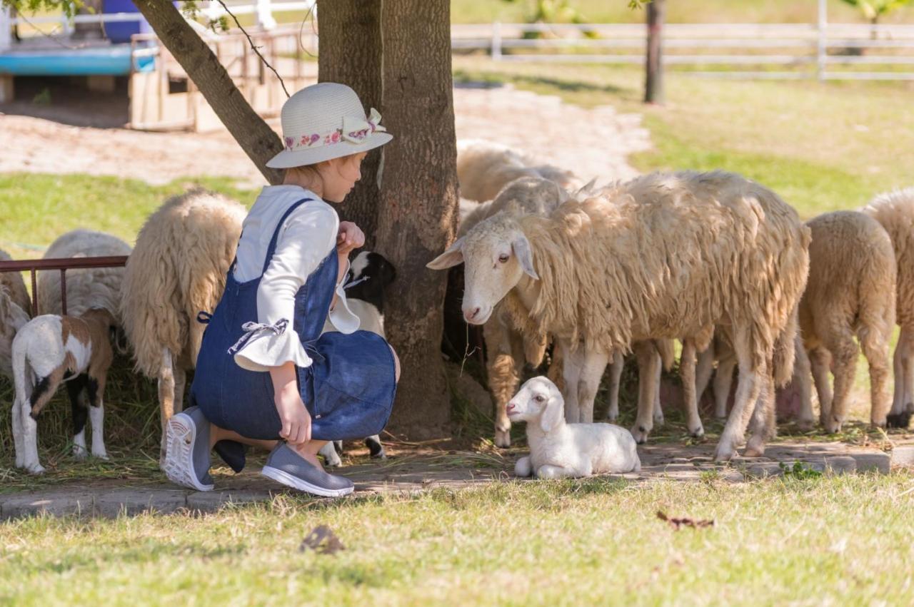 Oon Valley Farm Stay San Kamphaeng Екстериор снимка